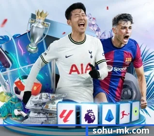 MK体育 APP 界面